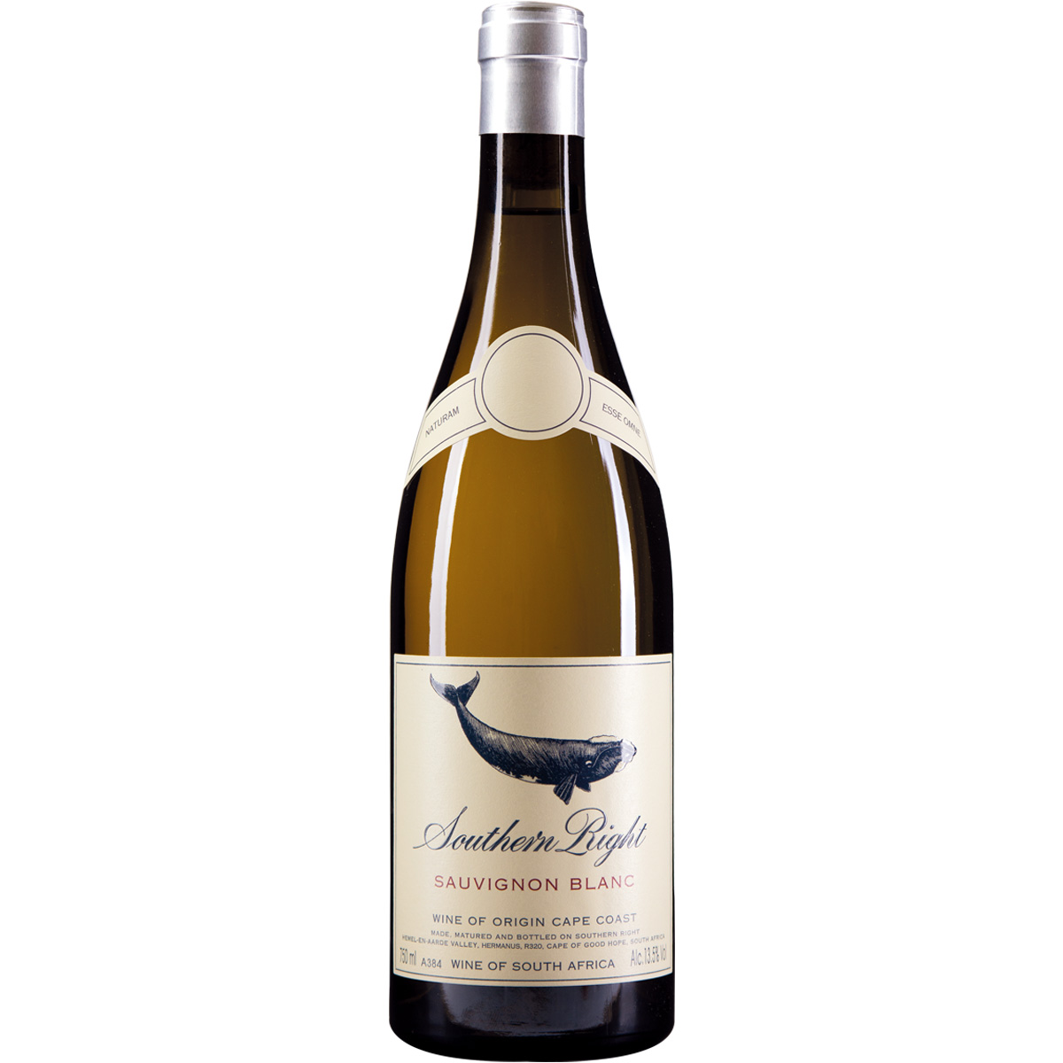 Southern Right Sauvignon Blanc 2024 –