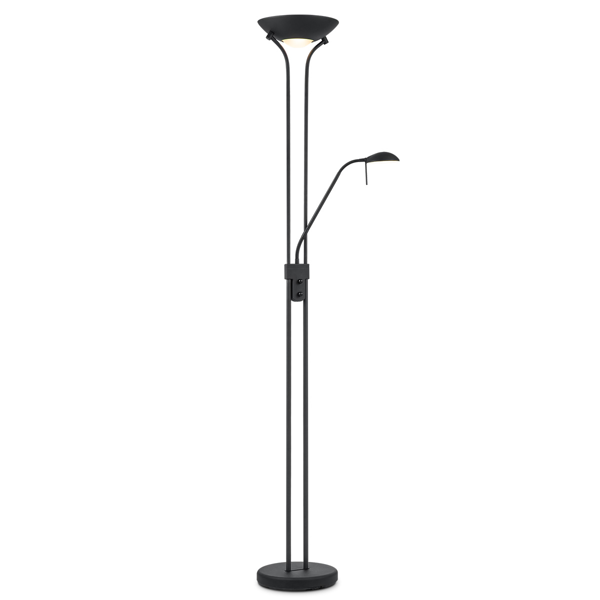 2-Lichts moderne LED vloerlamp met smoke glas