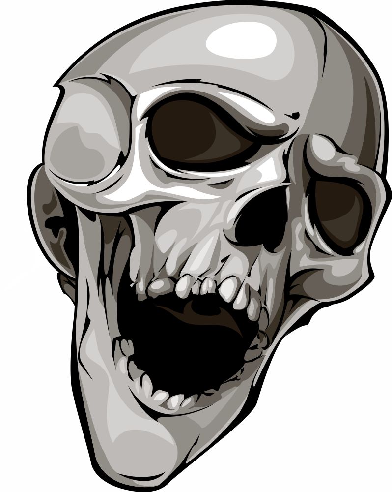 Plott Aufkleber 007 Totenkopf Reptil Skull Bones Sticker Tuning Static Fun - GmbH