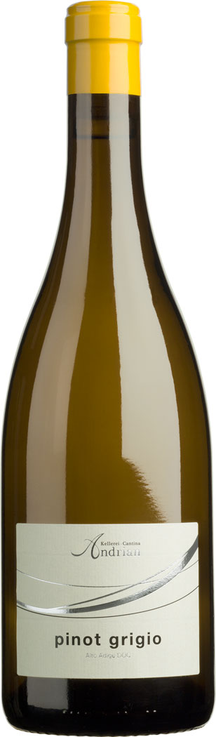 Cantina Andrian Pinot Grigio DOC 2024 –