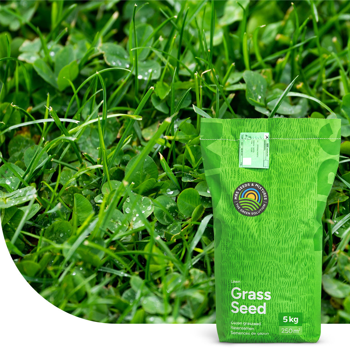 Nie wieder kahler Rasen? Whlen Sie Clover Lawn!  Mulder Retail B.V.