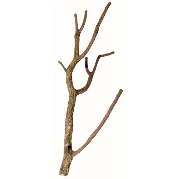 Natuurlijke Kurkschors & Kurktakken – Decoratie voor Terrarium & Voliè