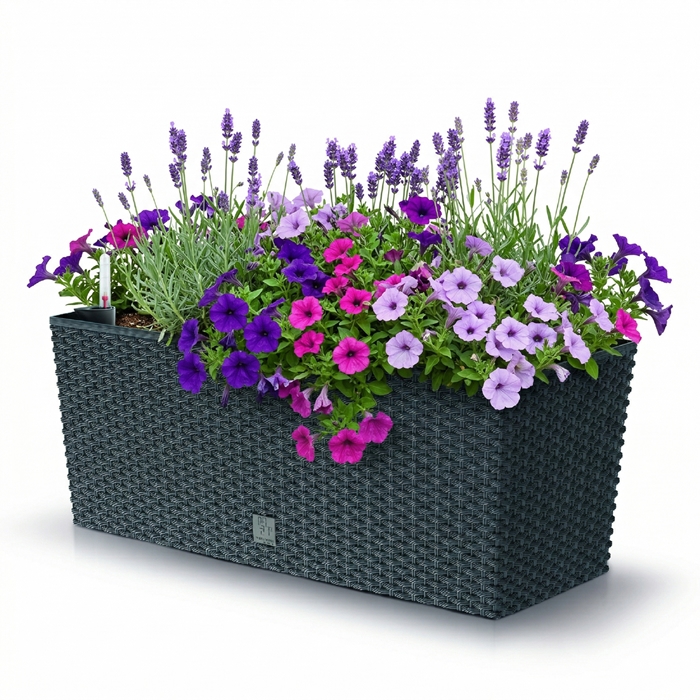 Prosperplast Blumenkasten inkl. Bewsserung Balkonkasten Blumentopf  Anthrazit Lefeld Werkzeug-Onlineshop