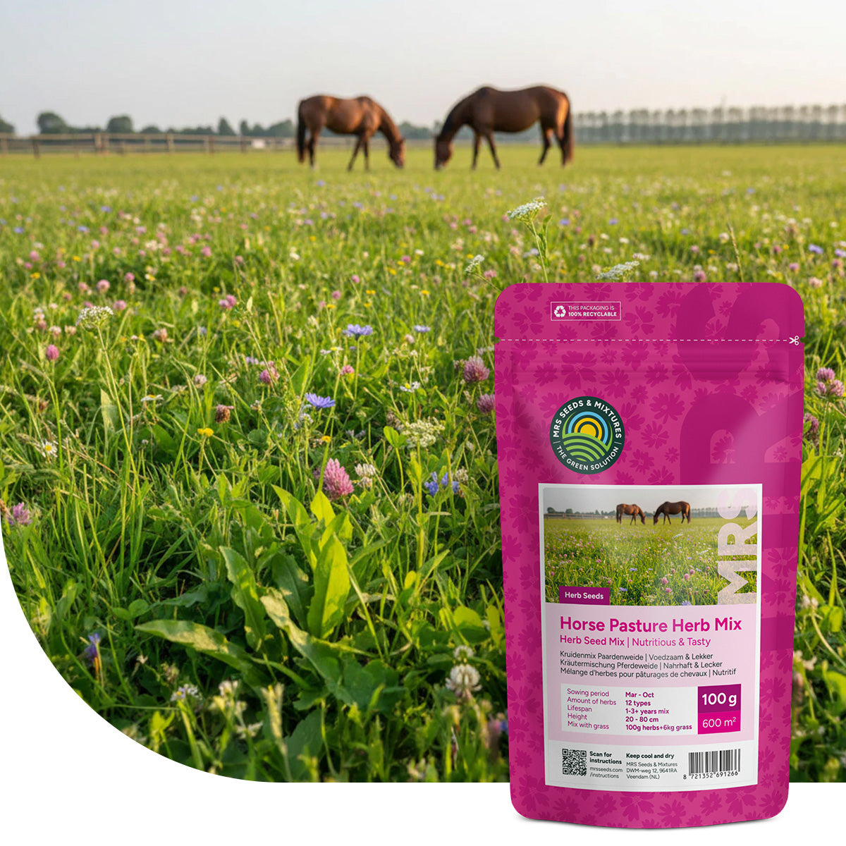 MRS Seeds & Mixtures Krutermischung Pferdeweide  Mulder Retail B.V.