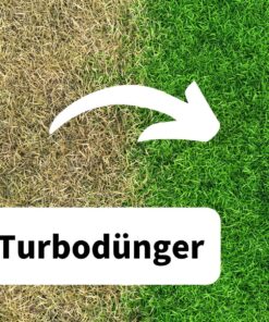 Turbo-Rasendnger mit Sofortwirkung  Rollrasen Rudi
