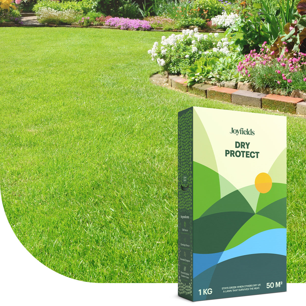 Dry Protect – Droogtebestendig graszaad | Joyfields – Mulder