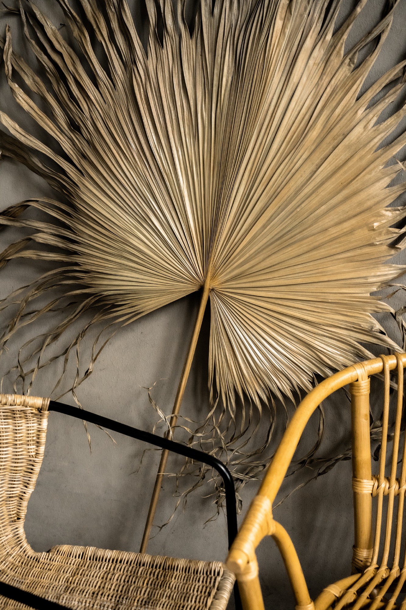 Palmenblatt natur, H 120 cm, B 60 cm