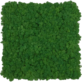 TABLE ONE AIOT! ver.-FOREST GREEN × CAMO Panel z chrobotka Forest Green PREMIUM – na wymiar